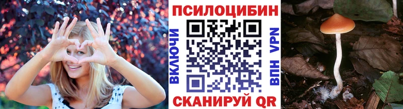 хочу   Обь  Псилоцибиновые грибы мицелий 